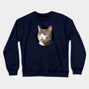 Sarcastic, indifferent cat...so, what? Crewneck Sweatshirt